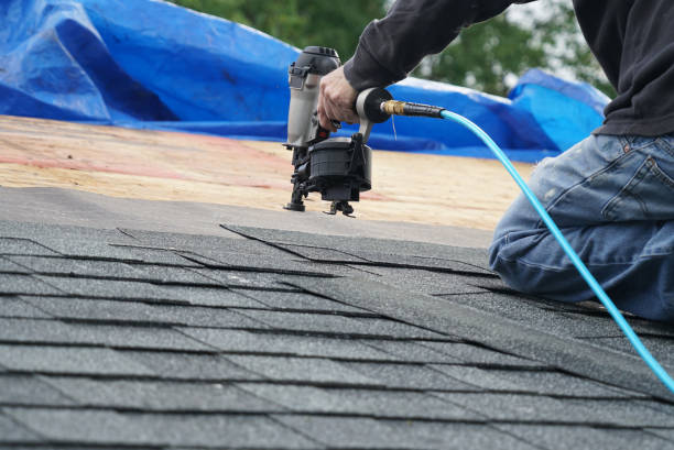 Best Green or Eco-Friendly Roofing Solutions  in Oquawka, IL